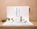 Witlof Skincare